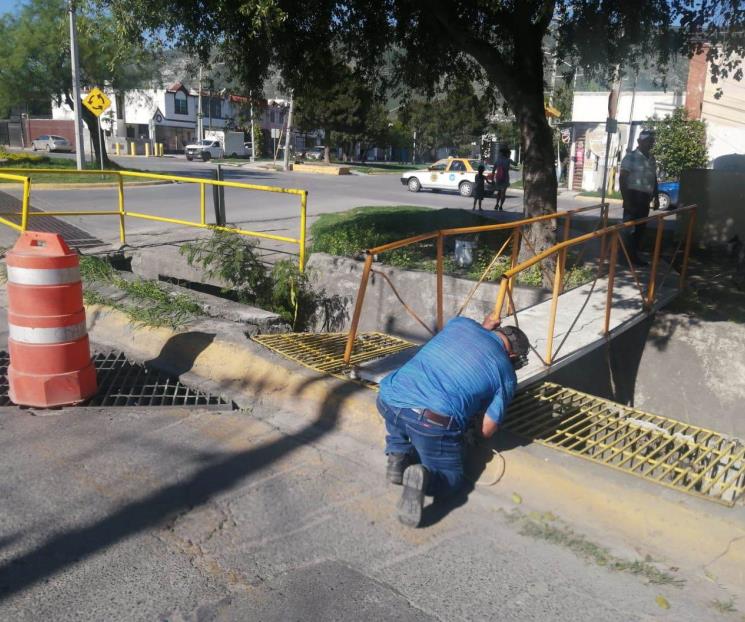 Trabaja Escobedo en deshierbe y pintura Trabaja Escobedo en deshierbe y pintura