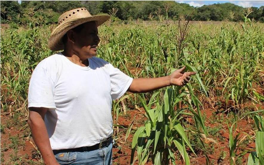 Cerrar Financiera Rural dejará incertidumbre en productores