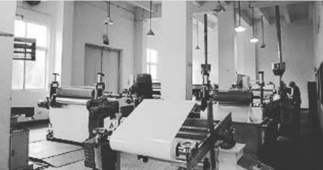 Gaby, socia de Los Chapitos que prometió salvar al mundo