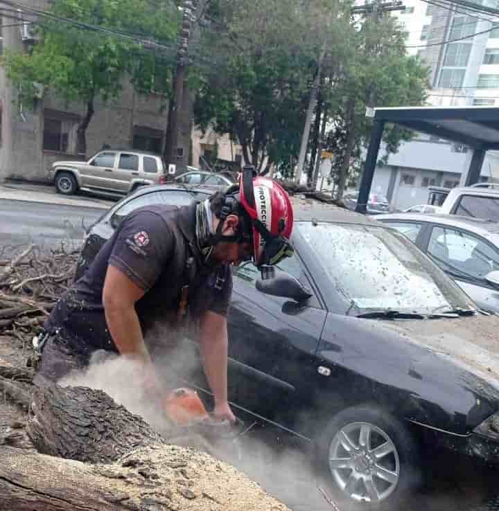 Tres autos estacionados frente a unos departamentos resultaron afectados tras la caída de un árbol ante las ráfagas de viento que se registraron en la zona metropolitana de Monterrey, ayer en la Colonia San Jerónimo, sin que se reportaran lesionados