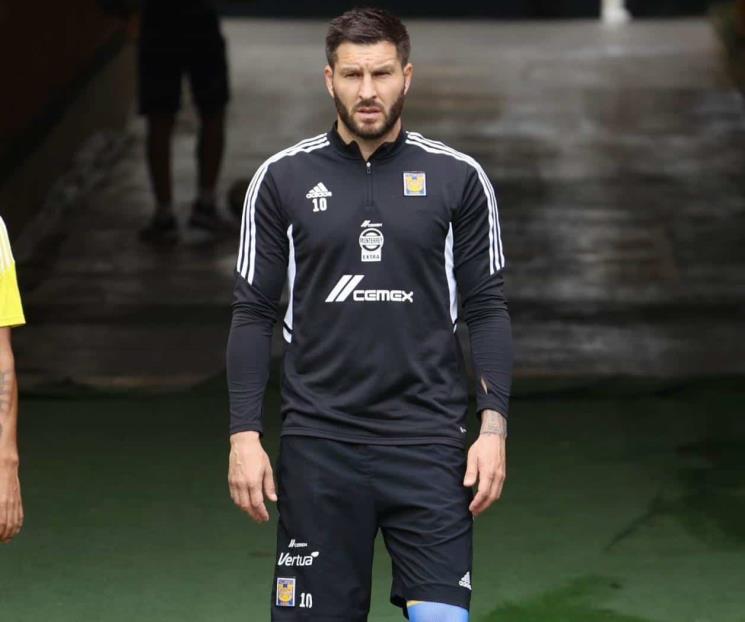 Siguen felinos preparándose para recibir a Puebla