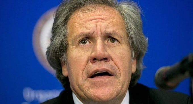 Violó Almagro obligaciones éticas de la OEA