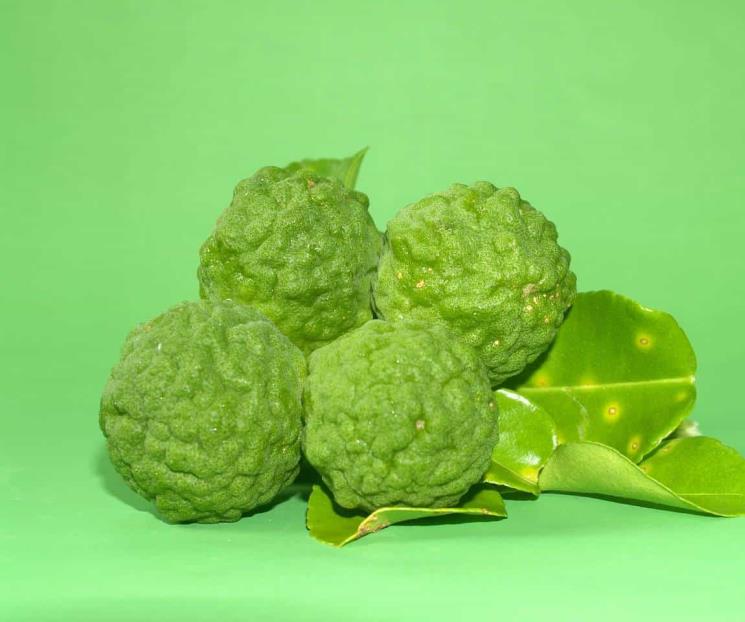 Conoce qué es y para qué sirve la bergamota