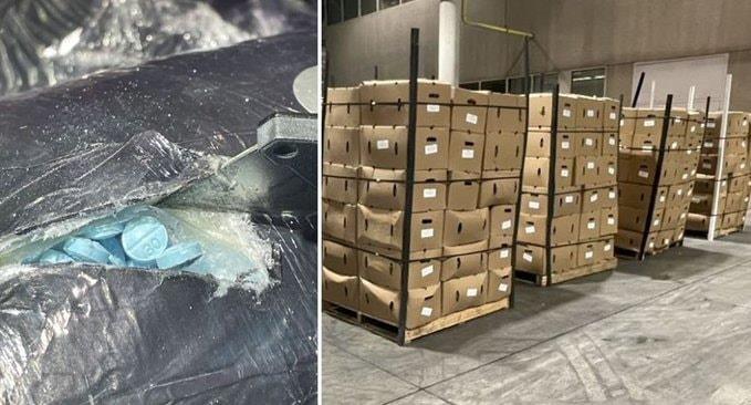 Hallan millones de píldoras de fentanilo con judías en EU