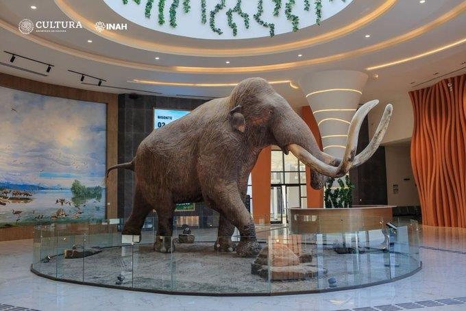 Participa para dar nombre al mamut del Museo de Santa Lucía Participa para dar nombre al mamut del Museo de Santa Lucía