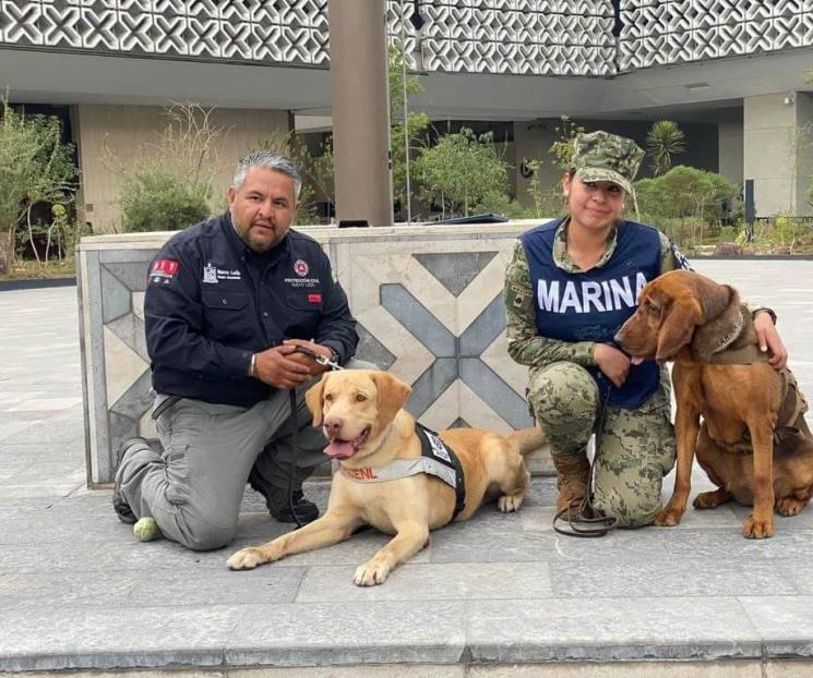 Reconocen a perros de rescate de Nuevo León en la CDMX Reconocen a perros de rescate de Nuevo León en la CDMX