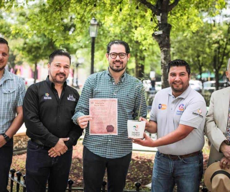 Recibe Santiago a nieto del “Árbol de la noche triste” Recibe Santiago a nieto del “Árbol de la noche triste”