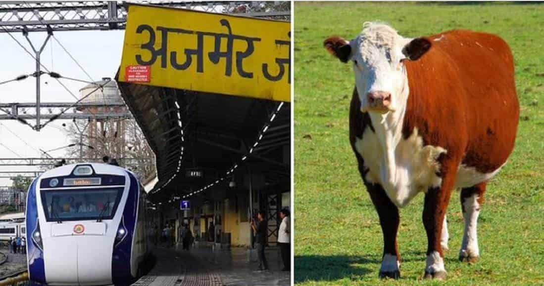 Vaca cae del cielo sobre hombre y lo mata