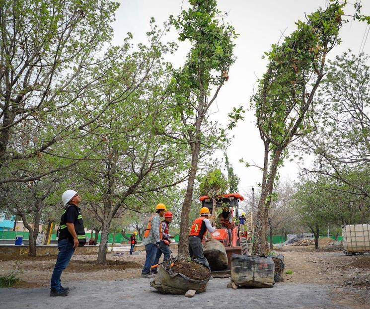 Plantará San Pedro 3 mil árboles y regalará mil