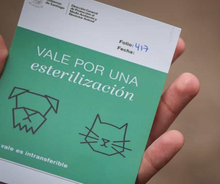 Tiene Santiago la Feria de Adopción Animal Tiene Santiago la Feria de Adopción Animal