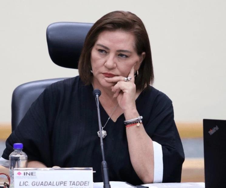 Taddei pide no repetir los errores del pasado en el INE