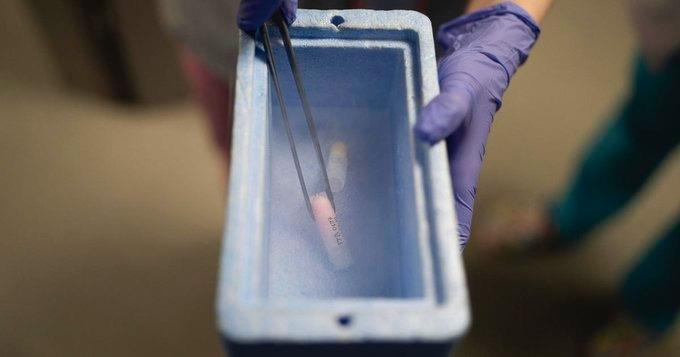 Le exigen dejar de donar esperma tras tener 550 hijos Le exigen dejar de donar esperma tras tener 550 hijos