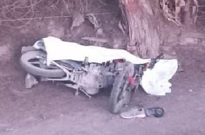 Se estrella contra árbol y muere en Dr. Arroyo