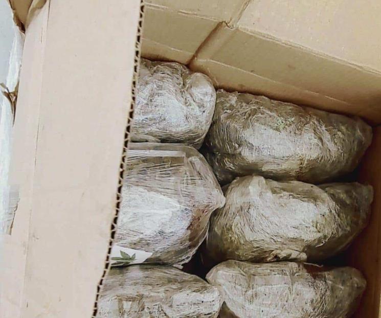 Descubren droga oculta Descubren droga oculta