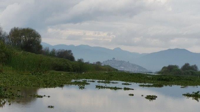 Estudiantes de PrepaTec triunfan en competencia de Oxford
