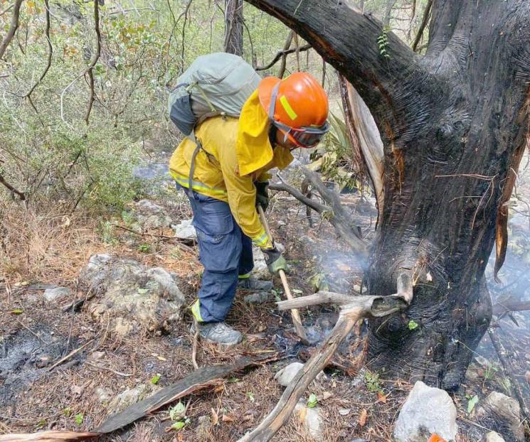 Siguen activos un par de incendios forestales
