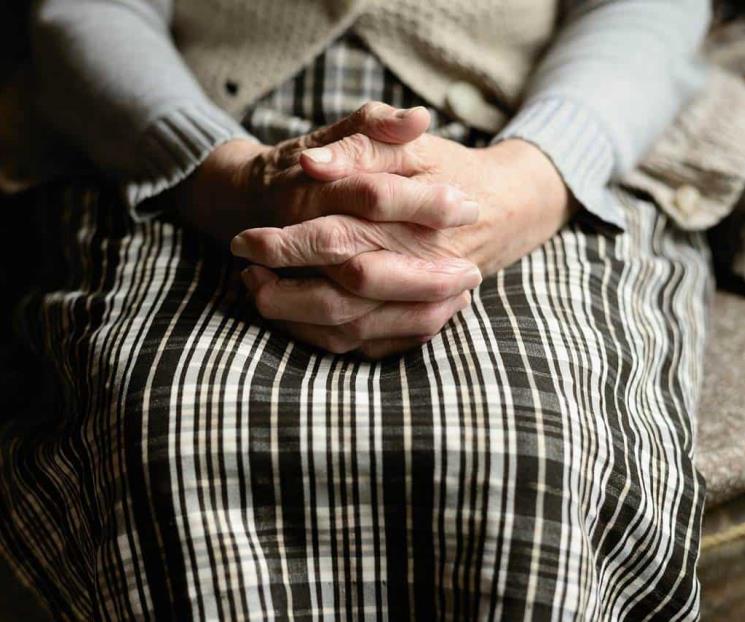 Contemplan aumentar presupuesto en 2024 para pensiones Contemplan aumentar presupuesto en 2024 para pensiones