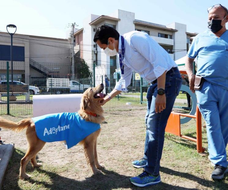 Invita Carrillo a participar en campaña Adopta como Héroe