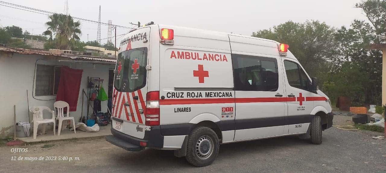 Ataca perro a mujer de la tercera edad