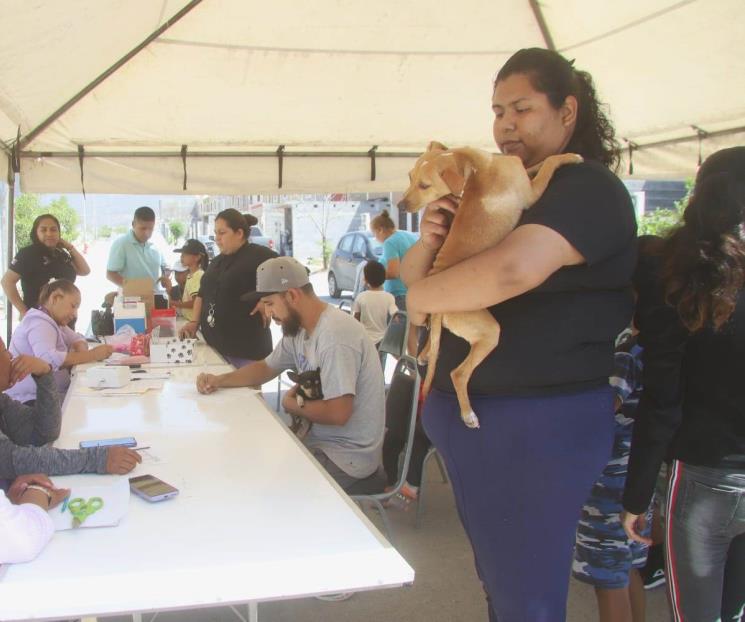 Convierten en García domicilios en veterinarias