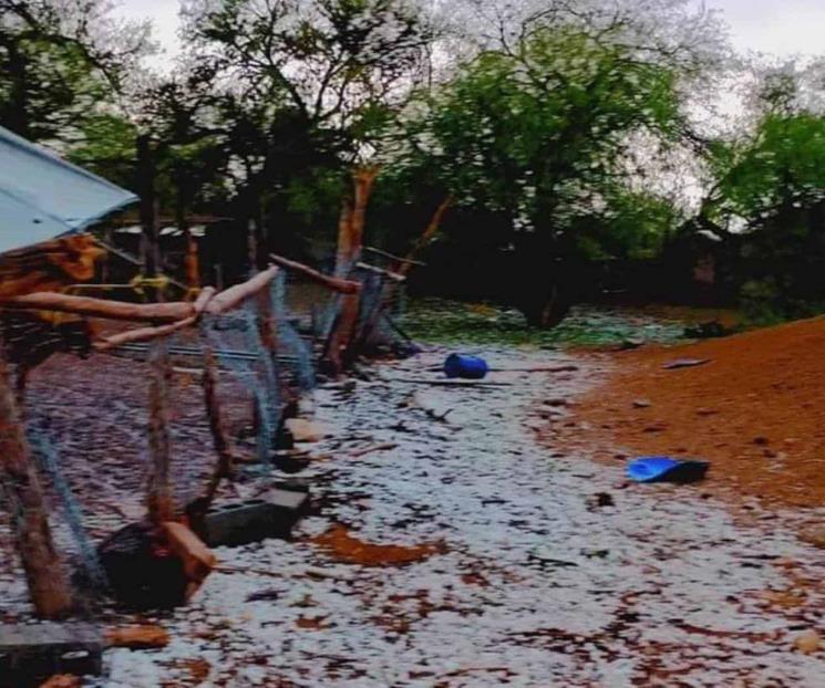 Afectan tormentas a zona citrícola y metropolitana