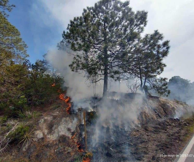 Ocasiona rayo incendio en Galeana Ocasiona rayo incendio en Galeana