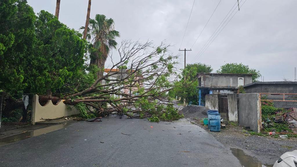 Apoyarán a afectados por tromba en Los Herrera y Los Ramones