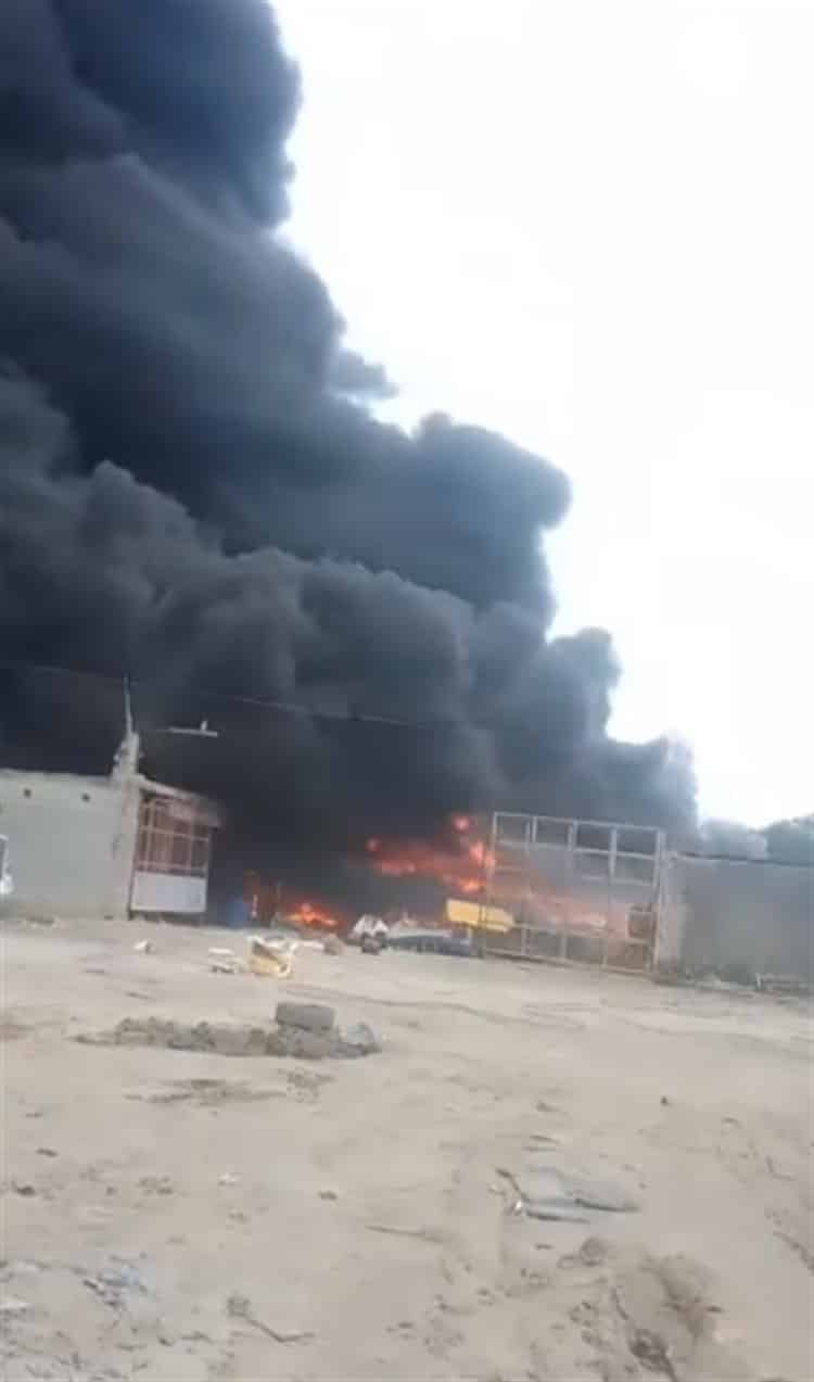 imagen-cuerpo imagen-cuerpo