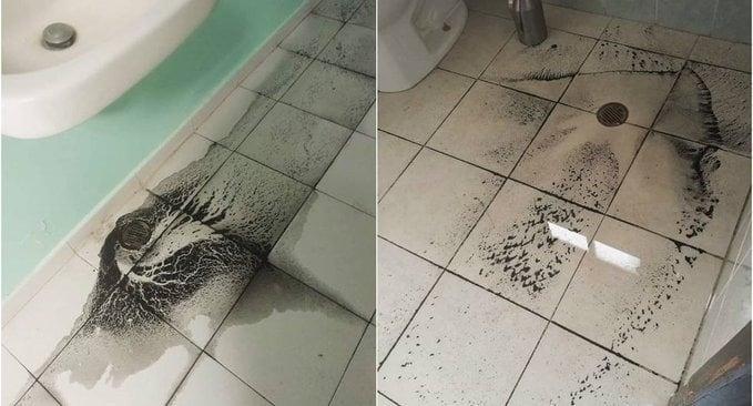 Evacúan hospital de Tlaxcala por agua contaminada Evacúan hospital de Tlaxcala por agua contaminada