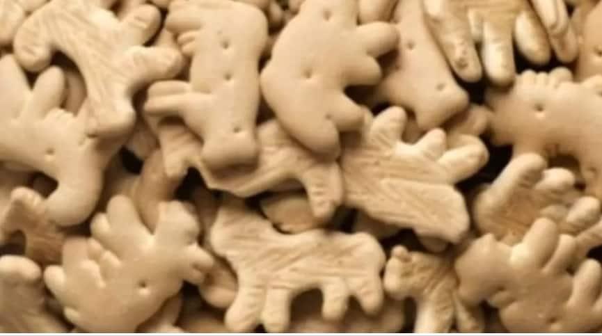 ¿Por qué las galletas de animalitos son adictivas? ¿Por qué las galletas de animalitos son adictivas?