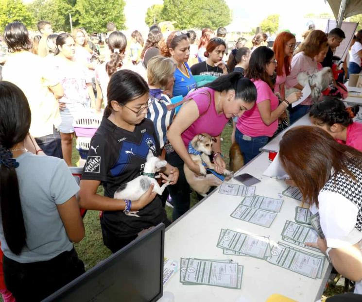 Emite Escobedo más de 3 mil actas de registro de mascotas Emite Escobedo más de 3 mil actas de registro de mascotas