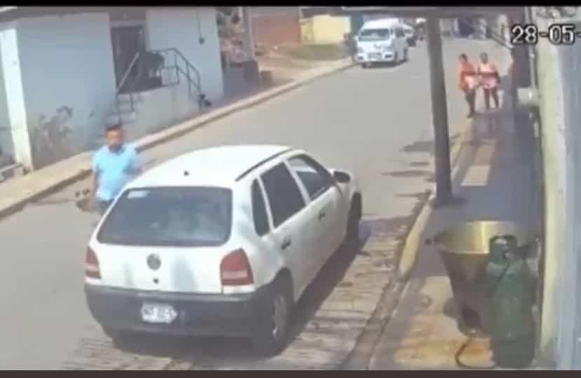 Crueldad infinita, caso de perro arrojado a aceite: SSPC