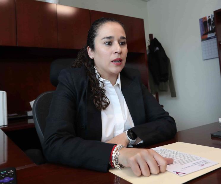 No hay posibilidad de fraude: Amalia Pulido