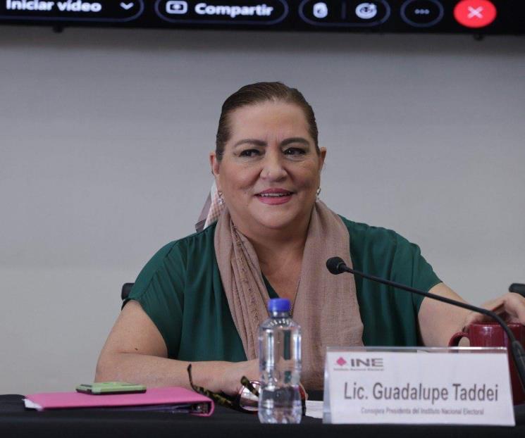 Taddei afirma que estructura del INE es sólida Taddei afirma que estructura del INE es sólida