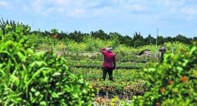 Viven en Florida un “día sin migrantes”