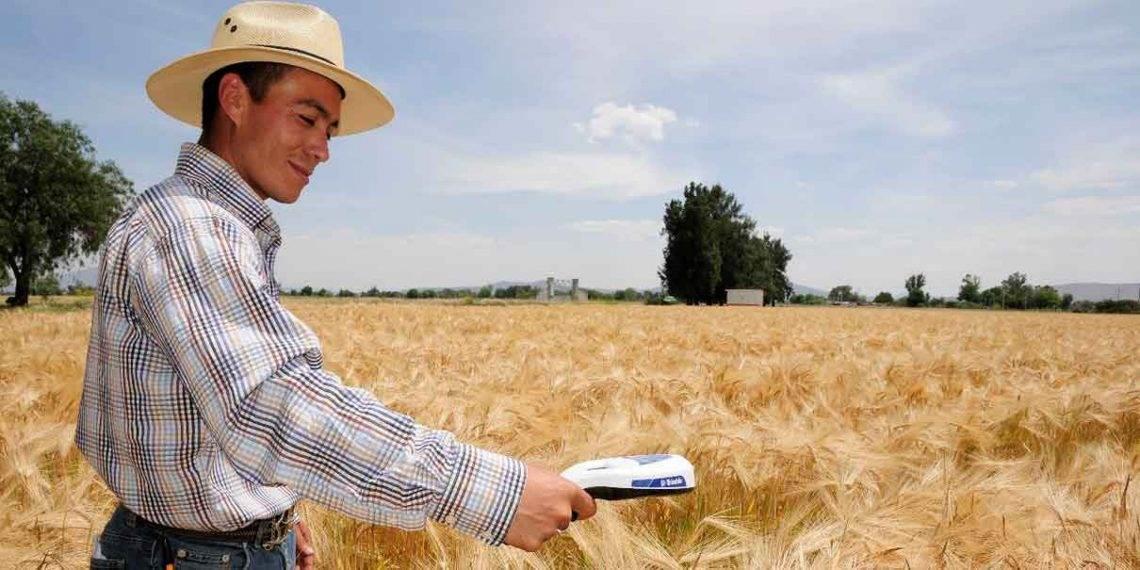 Cuida Heineken agua y baja emisiones del campo al bar