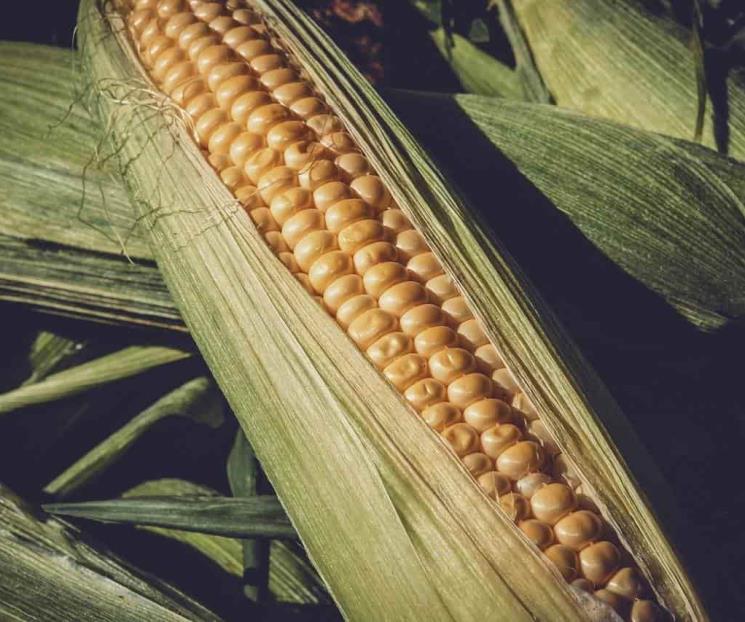 Canadá se une a EU en nueva controversia contra México