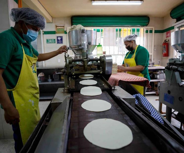 Entra también Canadá a disputa por maíz transgénico Entra también Canadá a disputa por maíz transgénico