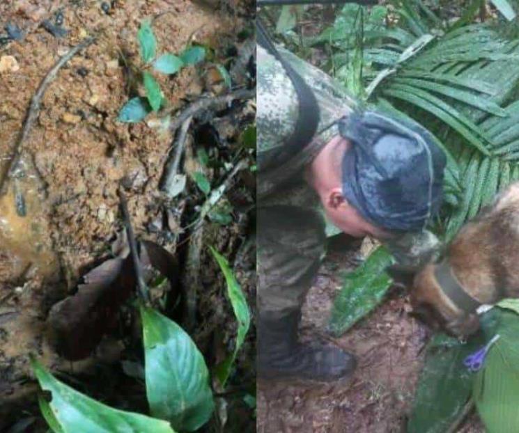 Buscan a perro que ayudó a dar con niños perdidos