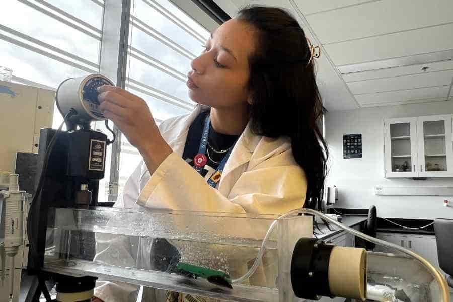 Estudiantes de Tec emulan a ballenas y ganan premio regional