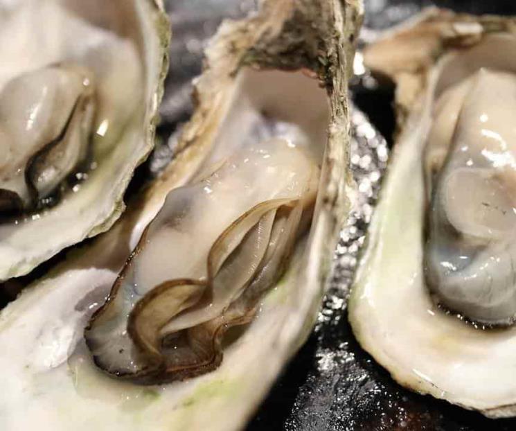 Hombre muere tras comer ostra con una bacteria carnívora