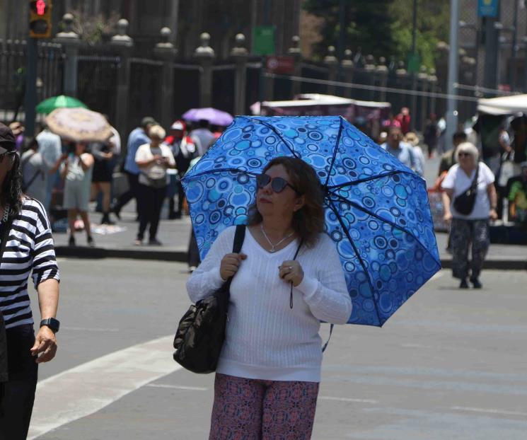 Ola de calor podría seguir 15 días más: UNAM Ola de calor podría seguir 15 días más: UNAM