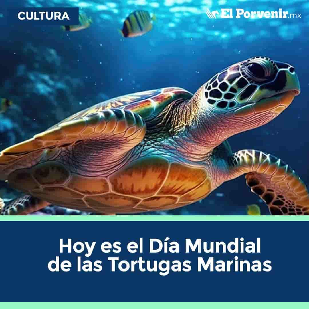 Su celebración está estrechamente relacionada con el principal defensor de las tortugas marinas en el mundo: Archie Carr.Carr fue reconocido como uno de los principales defensores para la protección de las tortugas marinas e incluso llegó a pelear para salvar los derechos de las tortugas en Costa Rica.