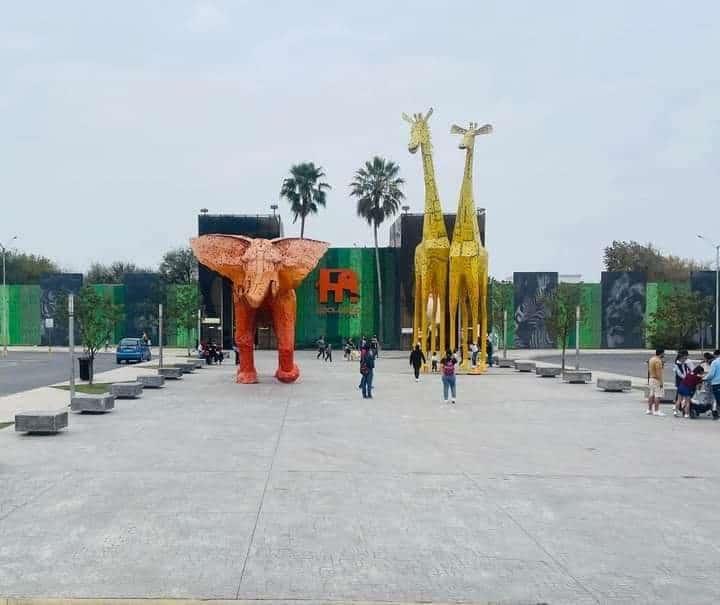 Denuncian traslado de animales de La Pastora; lo niegan