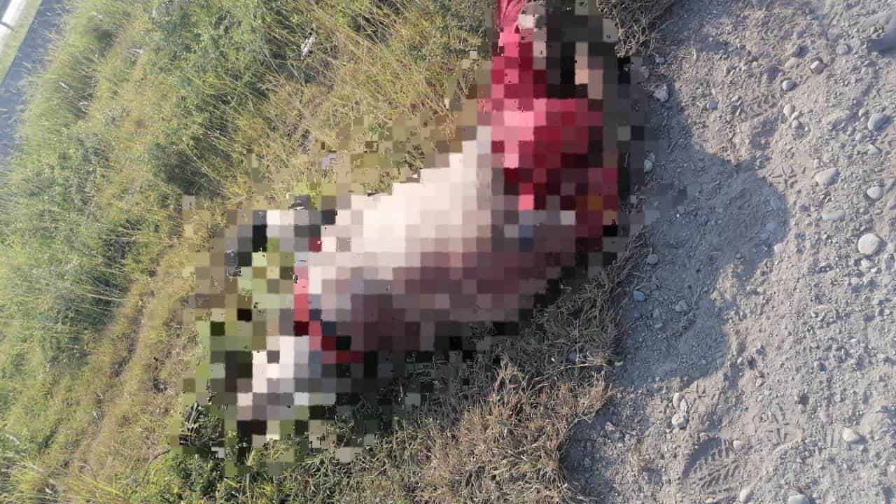 El conductor de una motocicleta falleció tras ser chocado por un tráiler cargado con madera, ayer en el Anillo Periférico a la altura del municipio de Benito Juárez.