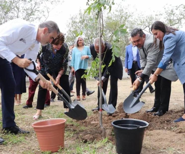 Comparten recomendaciones para el plantado de árboles