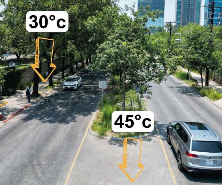 Reducen áreas verdes islas de calor: Treviño