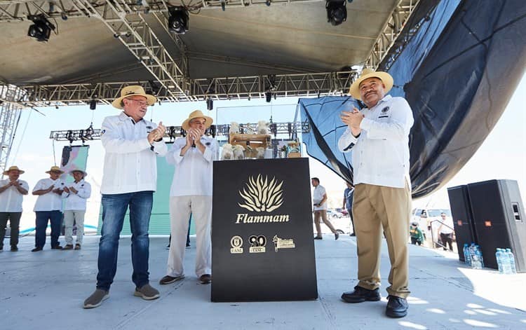 imagen-cuerpo imagen-cuerpo