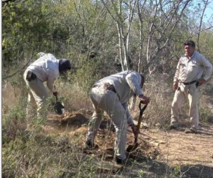 Hallan toma clandestina de gasolina en ejido de Linares