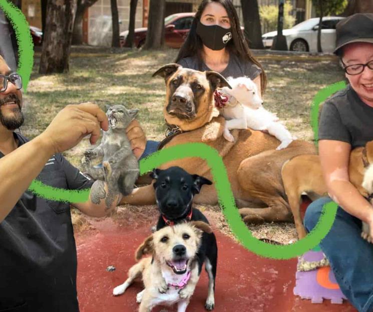 Joven atacada por perro funda refugio animal
